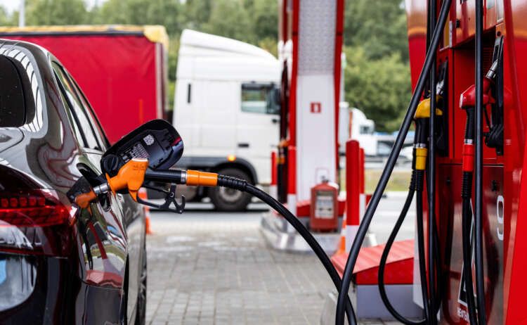 Featured image for article about Top Stories