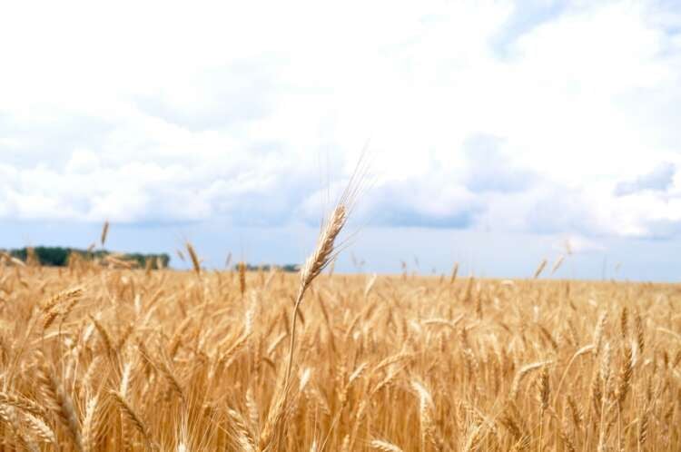 Featured image for article about Finance