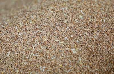 Image for IMF, World Bank, WFP and WTO urge coordinated action on food security