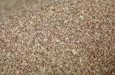 Image for IMF, World Bank, WFP and WTO urge coordinated action on food security