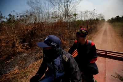 Image for Global rainforest loss &#8216;relentless&#8217; in 2020, but SE Asia offers hope