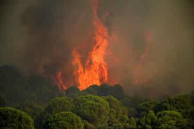 Image for Wildfires threaten Bordeaux as France, Spain battle blazes