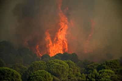 Image for Wildfires threaten Bordeaux as France, Spain battle blazes