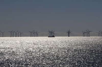 Image for Denmark to halt offshore wind tenders to revamp subsidy model