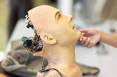 Image for Europe agrees landmark AI regulation deal