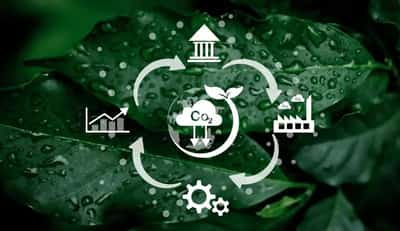 Image for How climate risk impacts discount rates—and what today’s investors should know