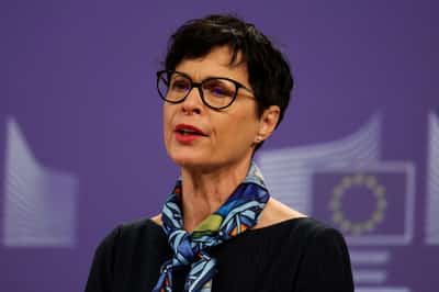 Image for EU Commissioner Kos cancels trip to Serbia after planned tribute to Mladic