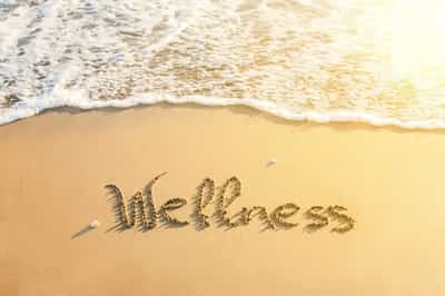 Image for Dream Big, Climb High, & Live Life To The Fullest With Entrepreneur And Wellness Coach Maria Camargo