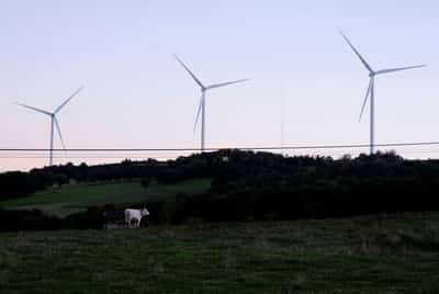 Image for EU plans to add carbon credits to new climate goal, document shows