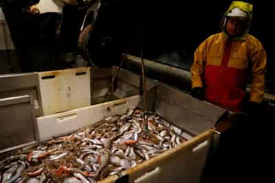Image for France to hold up EU-UK financial services deal over fisheries &#8211; source