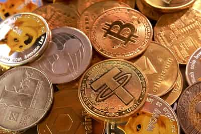 Image for Crypto treasury companies pivot to fringe tokens, stoking volatility fears