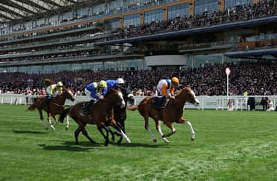 Image for Horse racing - Shock 50-1 winner takes opening race at Royal Ascot