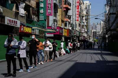 Image for COVID-shaming pits neighbour against neighbour in locked-down Shanghai