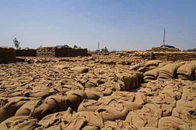 Image for World food price rise set to continue if Iran war lasts, FAO says