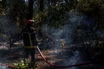 Image for Firefighters in France, Spain scramble to contain blazes as new heatwave looms