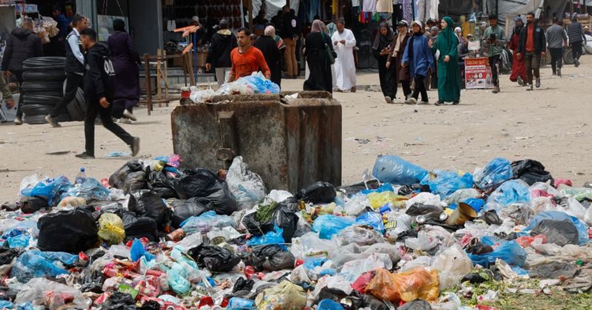 Rats infest Gaza's tent camps, biting children and spreading disease