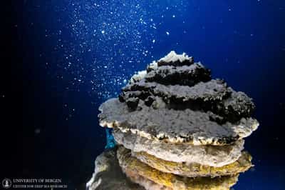 Image for Norway stops deep-sea mining, for now