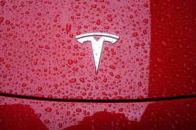 Image for Tesla recalls nearly 1.1 million U.S. vehicles to update window reversing software