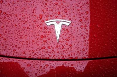 Image for Tesla recalls nearly 1.1 million U.S. vehicles to update window reversing software
