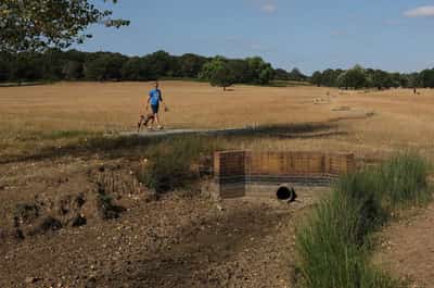 Image for UK PM to chair emergency meeting on heatwaves, drought