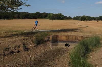 Image for UK PM to chair emergency meeting on heatwaves, drought