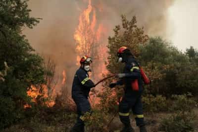 Image for Greek villagers try to save homes as wildfires burn for eighth day