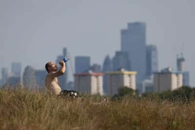Image for Britain needs huge switch to EVs, heat pumps and to eat less meat to hit net zero