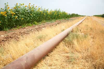 Image for Norway's DNO will not use newly opened pipeline from Iraq's Kurdistan