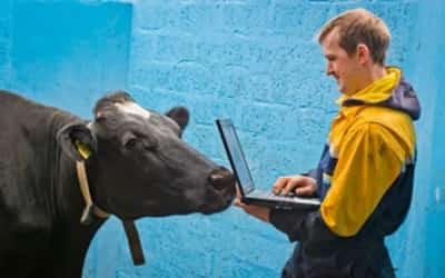 Image for SEP INVESTMENT &#8211; WEARABLE TECHNOLOGY FOR COWS