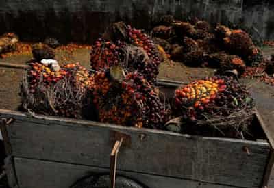 Image for Global food makers, retailers remain in crisis mode