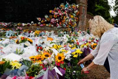 Image for Turkish florists race to meet soaring British demand after Queen’s death