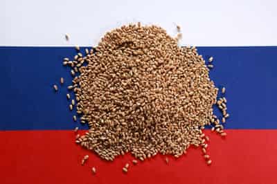 Image for Prosecutors say major US investor in Russia's agriculture is extremist