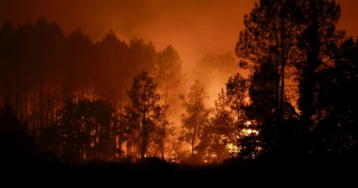 France evacuates 525 as another wildfire hits southwestern pine woods - Headlines news and analysis from Global Banking &