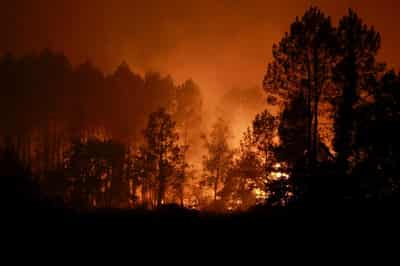 Image for France evacuates 525 as new wildfire hits pine woods in the southwest