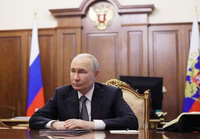 Image for Russia's Putin gifts four Amur tigers to Kazakhstan ahead of visit