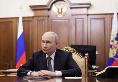 Image for Russia's Putin gifts four Amur tigers to Kazakhstan ahead of visit