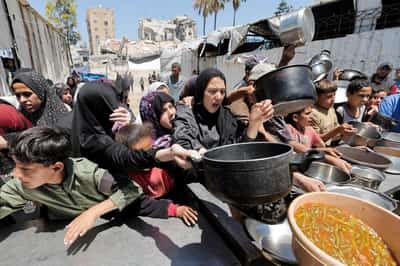 Image for WFP warns of deeper cuts in Gaza aid due to donor fatigue