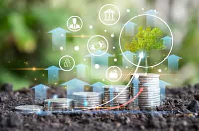 Image for Redefining Capital Adequacy: The Role of Sustainability and Innovation in Modern Banking