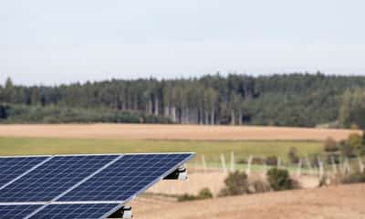 Image for Europe's power grids braced for eclipse with extensive backup plans