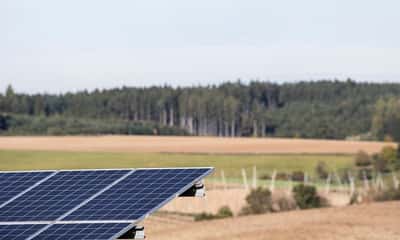 Image for Europe's power grids braced for eclipse with extensive backup plans