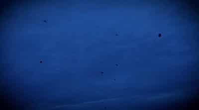 Image for Ukraine uses drones to deliver food to Russian-occupied Oleshky