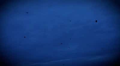 Image for Ukraine uses drones to deliver food to Russian-occupied Oleshky