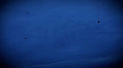 Image for Ukraine uses drones to deliver food to Russian-occupied Oleshky