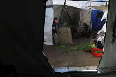 Image for US pitches 'New Gaza' development plan; Israeli fire kills five Palestinians