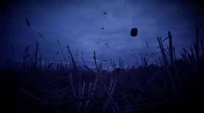 Image for Ukrainian drones deliver new batch of food to Russian-occupied Oleshky