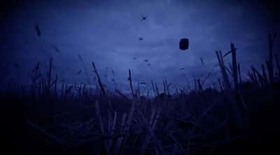 Image for Ukrainian drones deliver new batch of food to Russian-occupied Oleshky