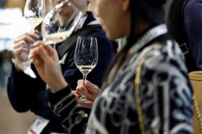 Image for French wine output expected to be lowest this century despite forecast upgrade
