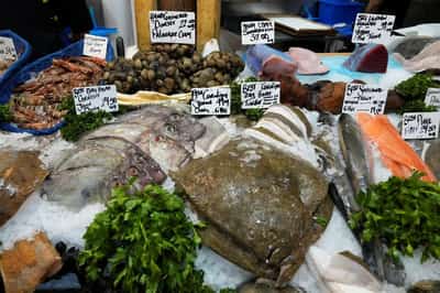 Image for UK food price inflation could hit nearly 7% in 2027, says industry researcher
