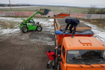 Image for Ukraine farm union warns oilseed export priority would hit grain farmers