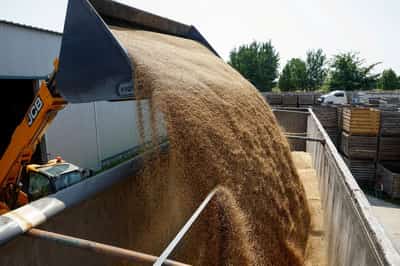 Image for Up to 70 ships queue off Danube as bottlenecks slow Ukraine grain exports